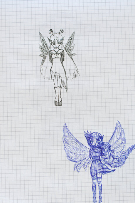 image-29