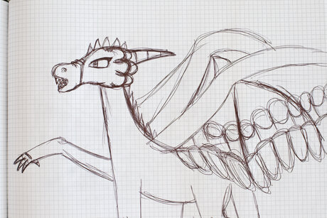 image-65